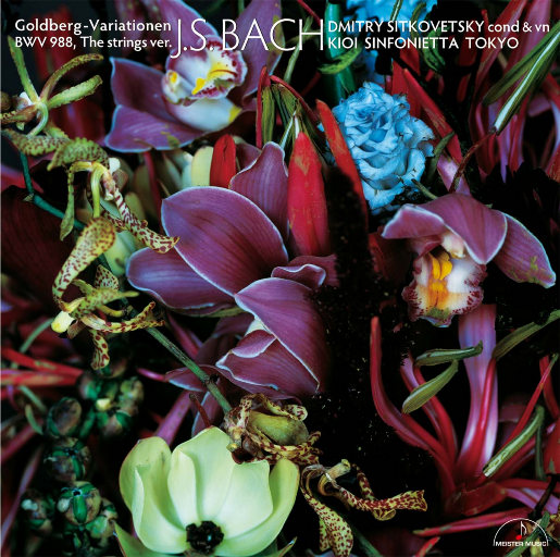 国产真实野战在线视频
